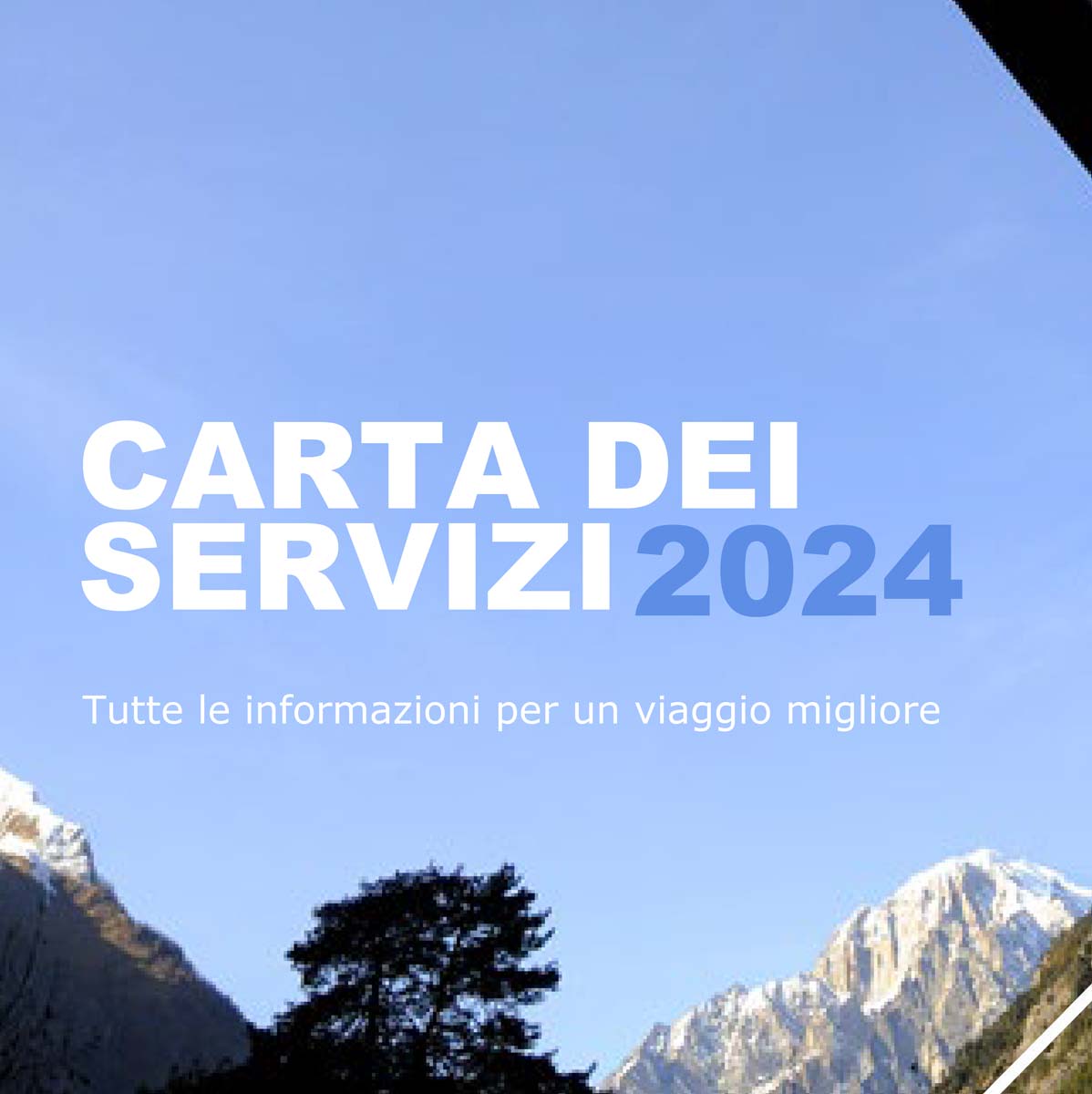 Carta dei servizi